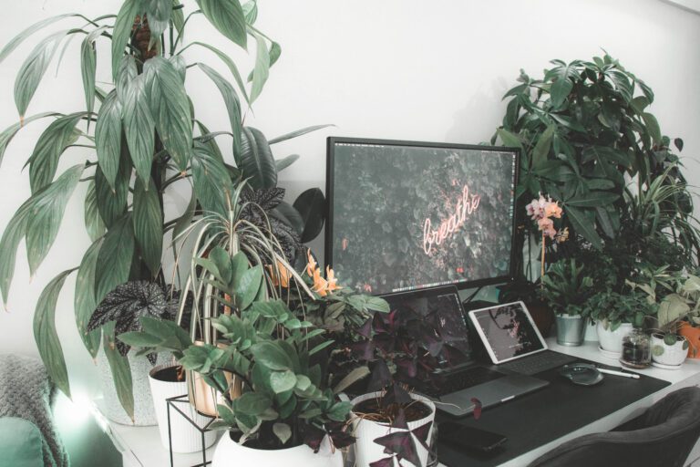 Arbeitsplatz mit Laptop und vielen Pflanzen für Philosophische Praxis