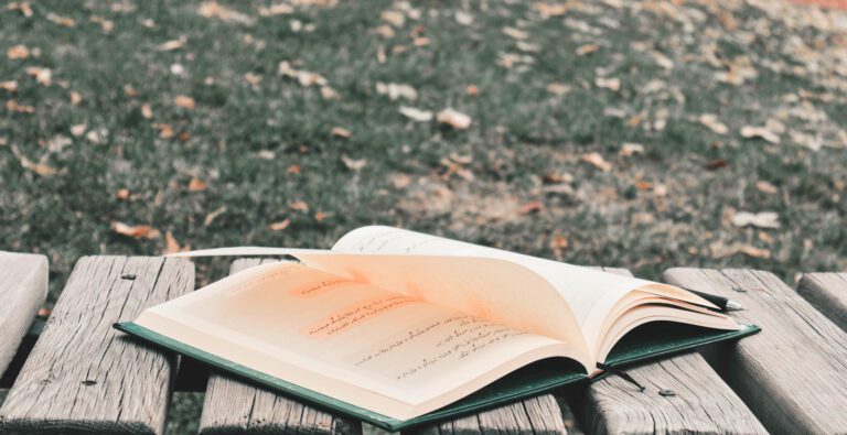 Buch liegt offen in Wiese
